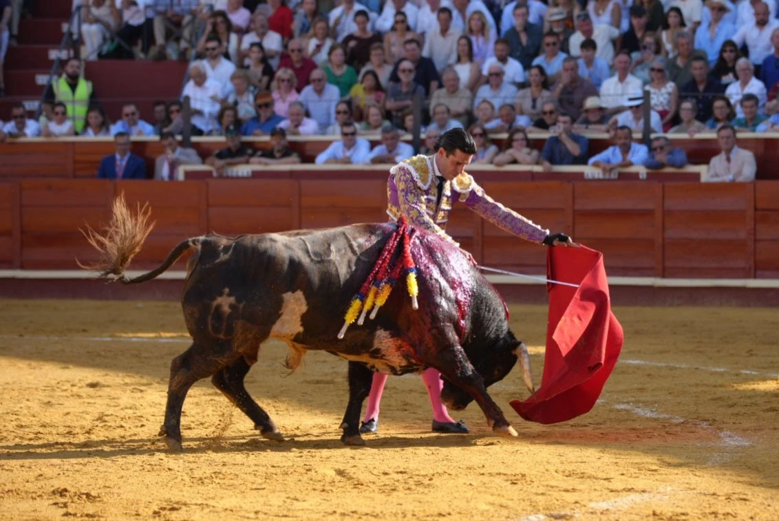 Imagen 10