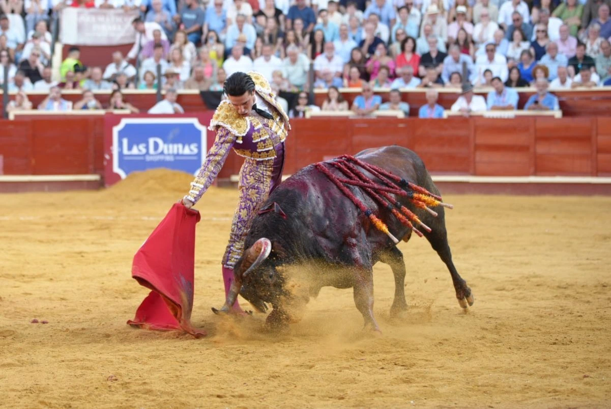 Imagen 12