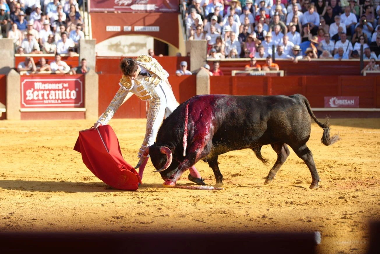 Imagen 16