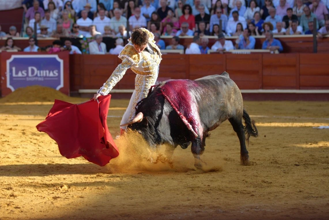 Imagen 17