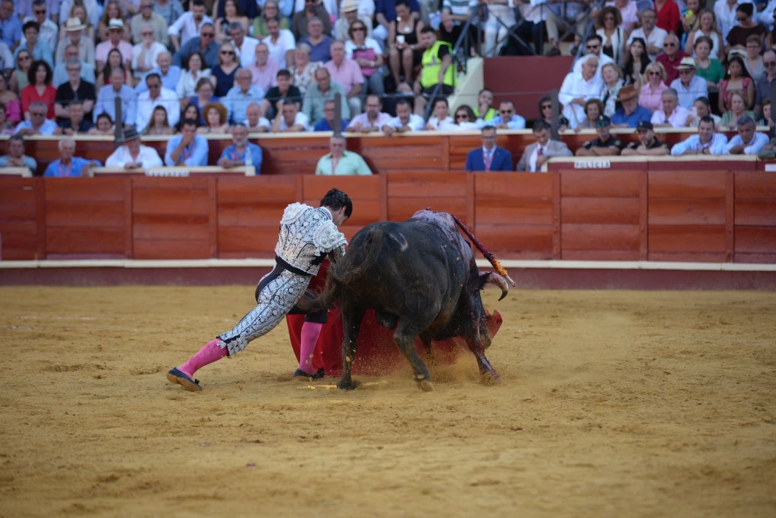 Imagen 20