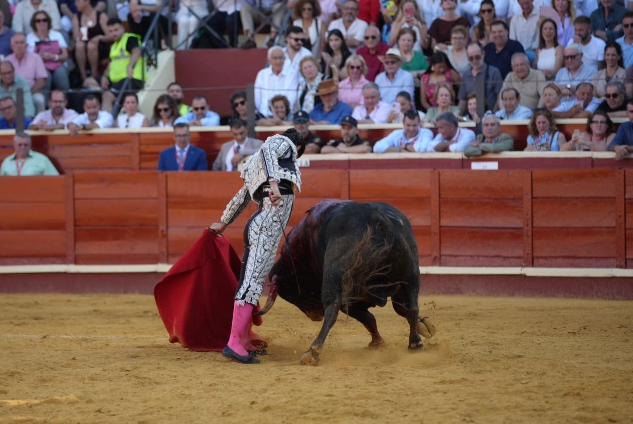 Imagen 21