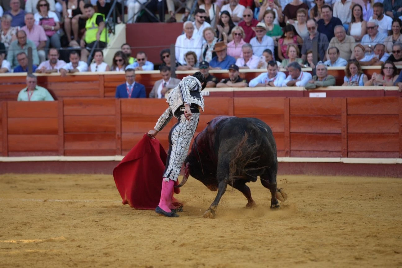 Imagen 23