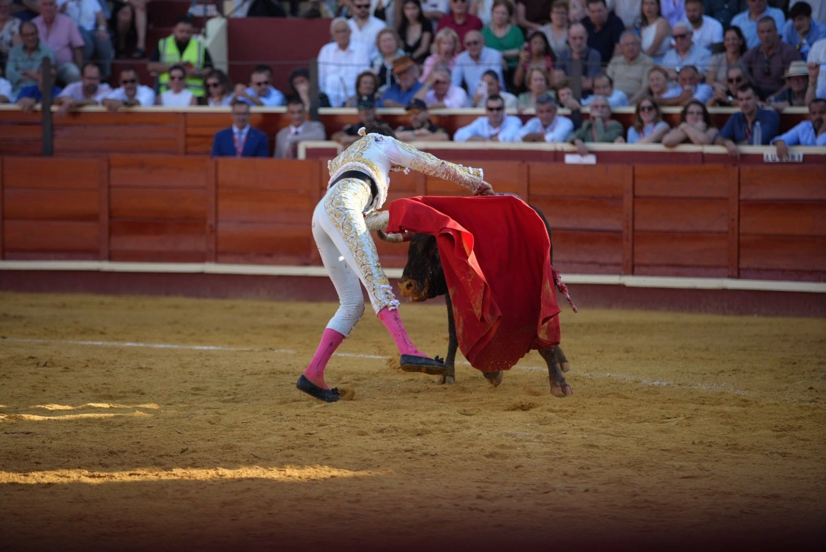 Imagen 24