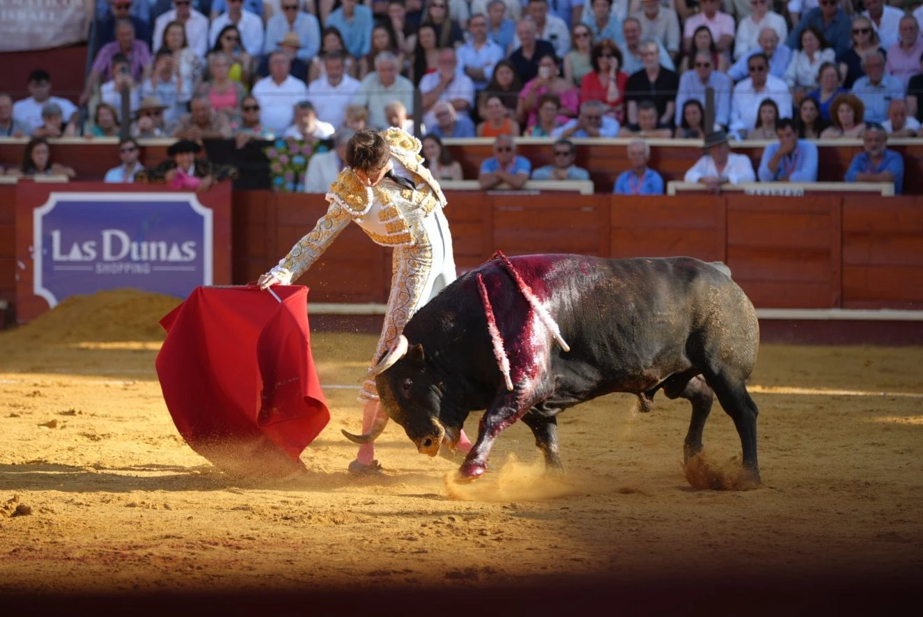Imagen 25