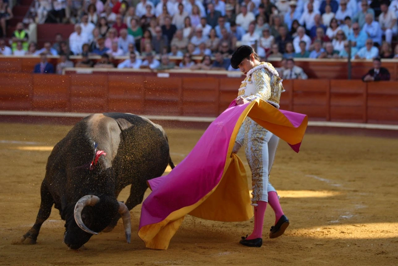Imagen 26