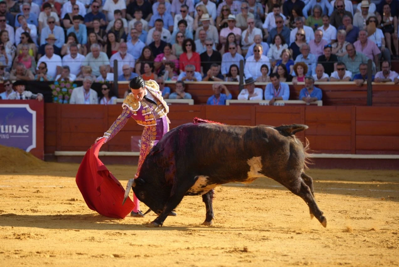 Imagen 27