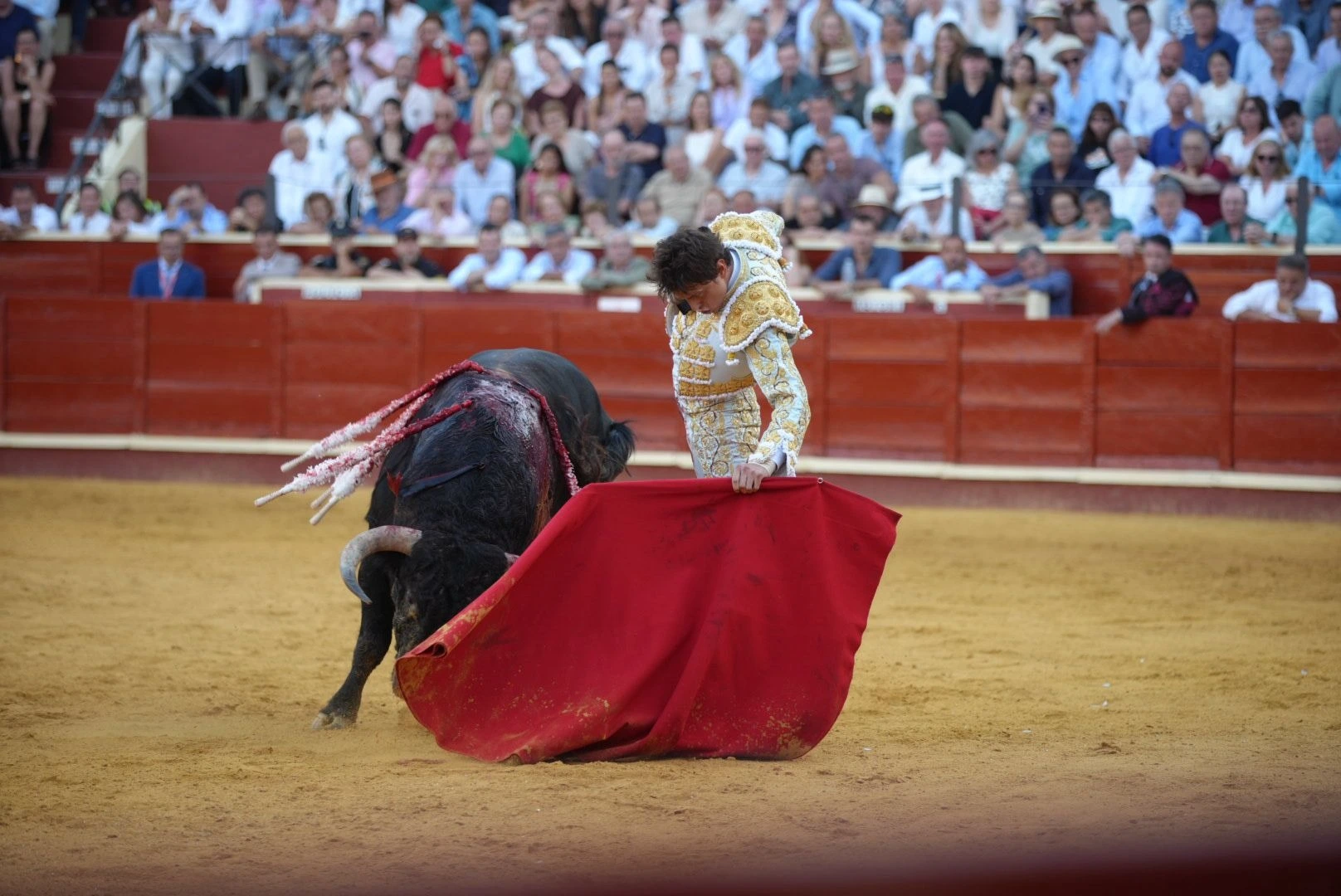 Imagen 29