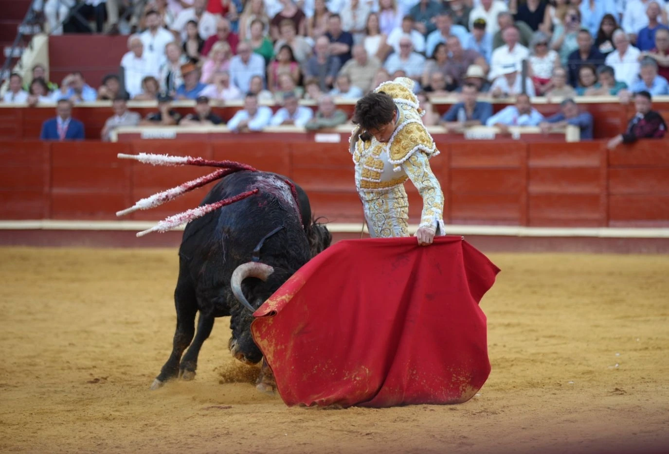 Imagen 30