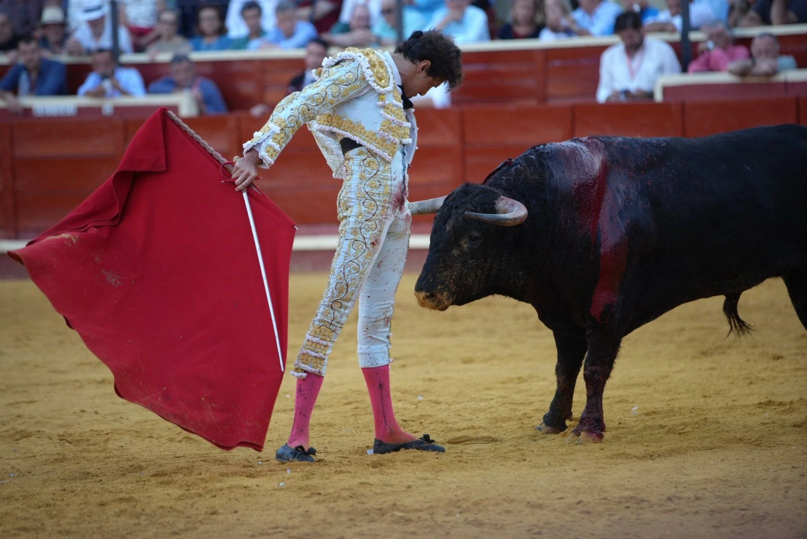 Imagen 31