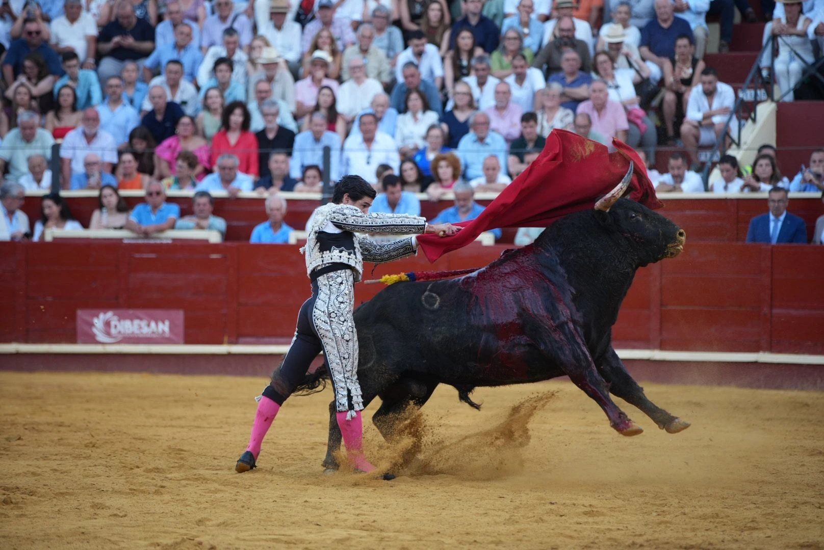 Imagen 37