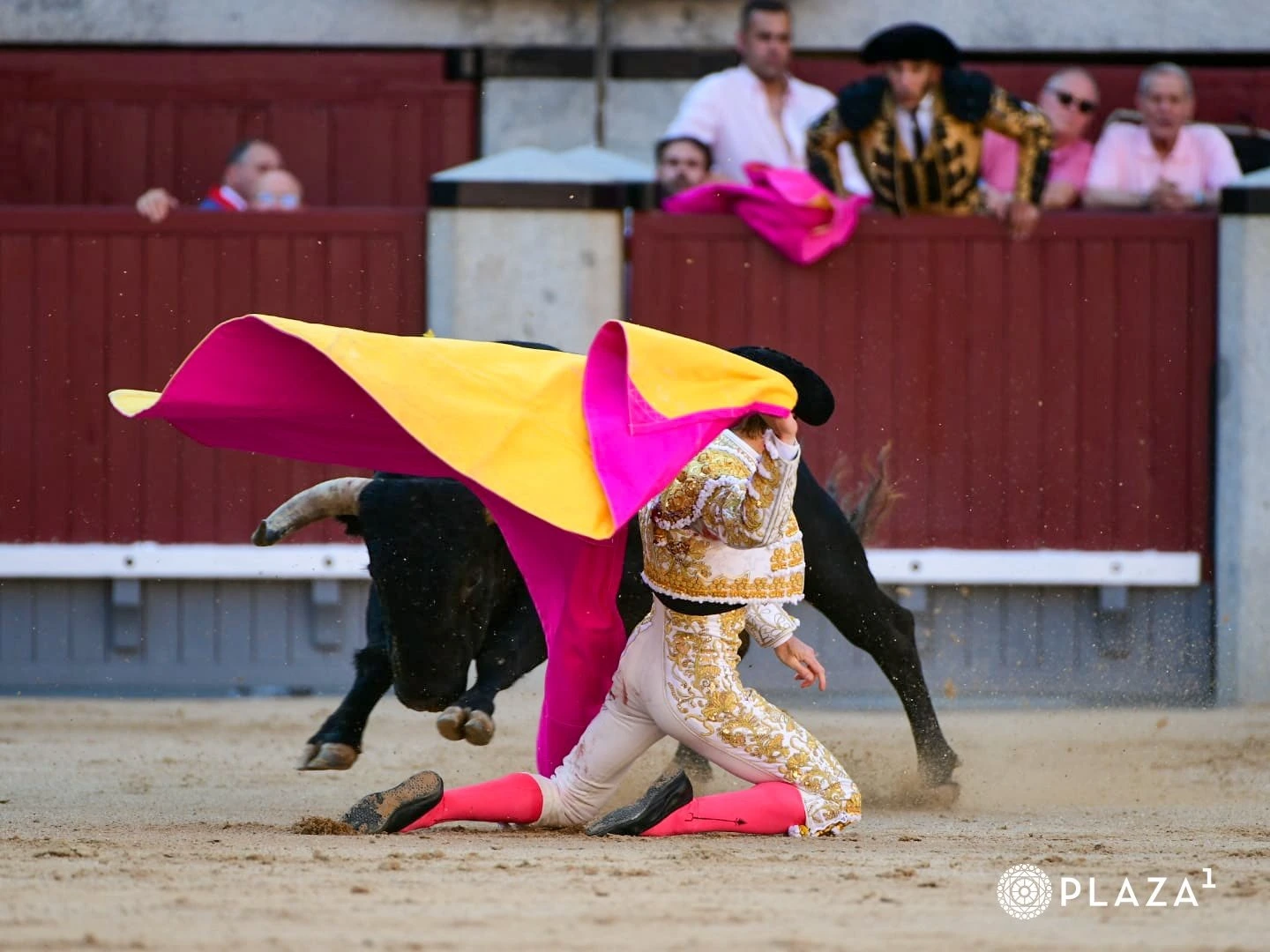 Imagen 1
