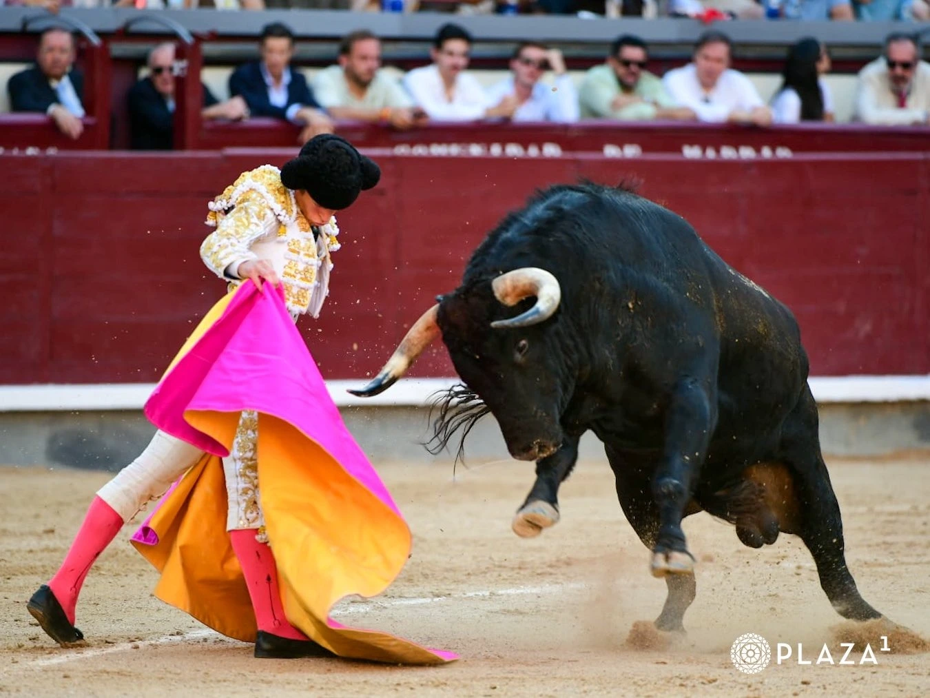 Imagen 3