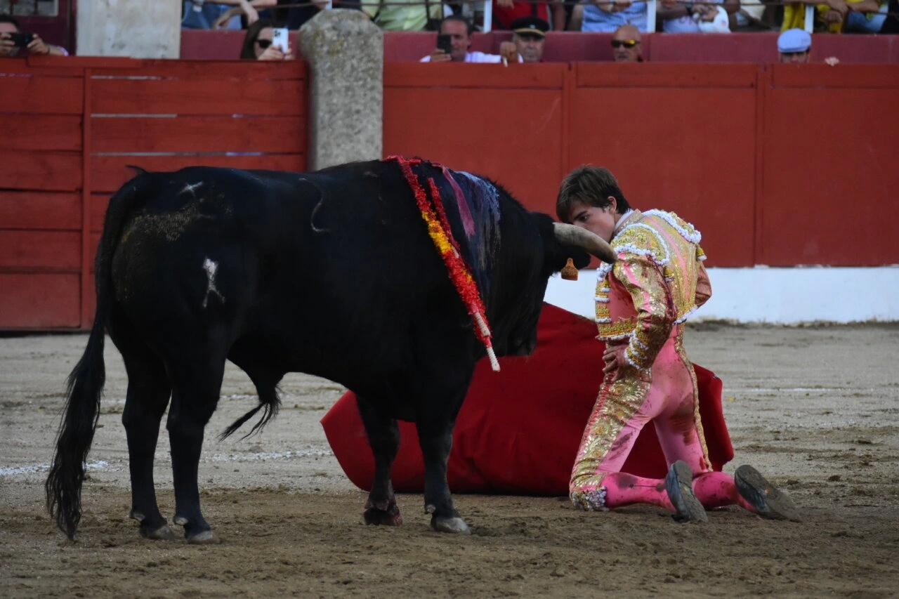 Imagen 2