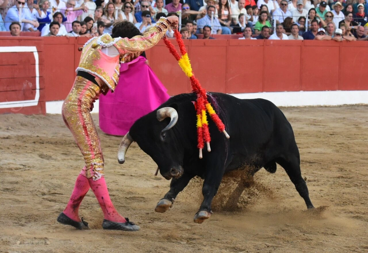 Imagen 3