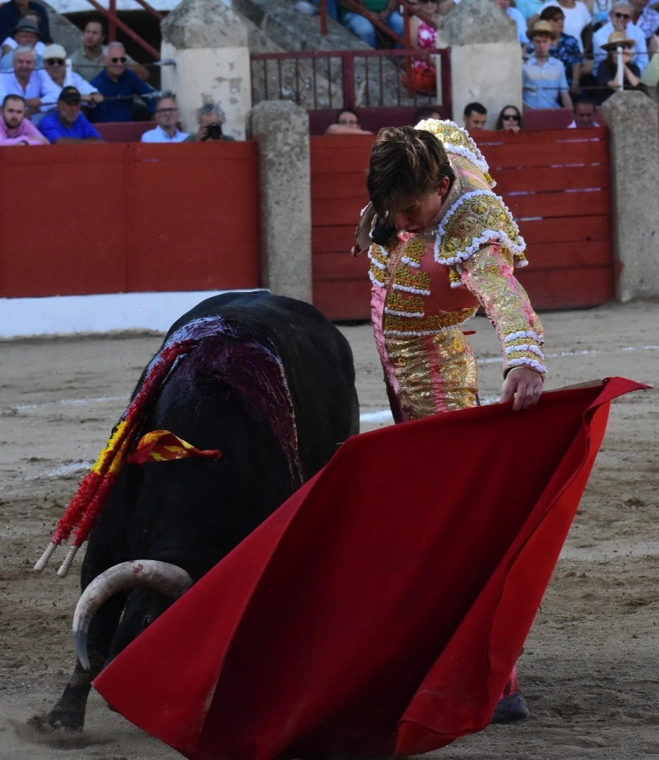 Imagen 5