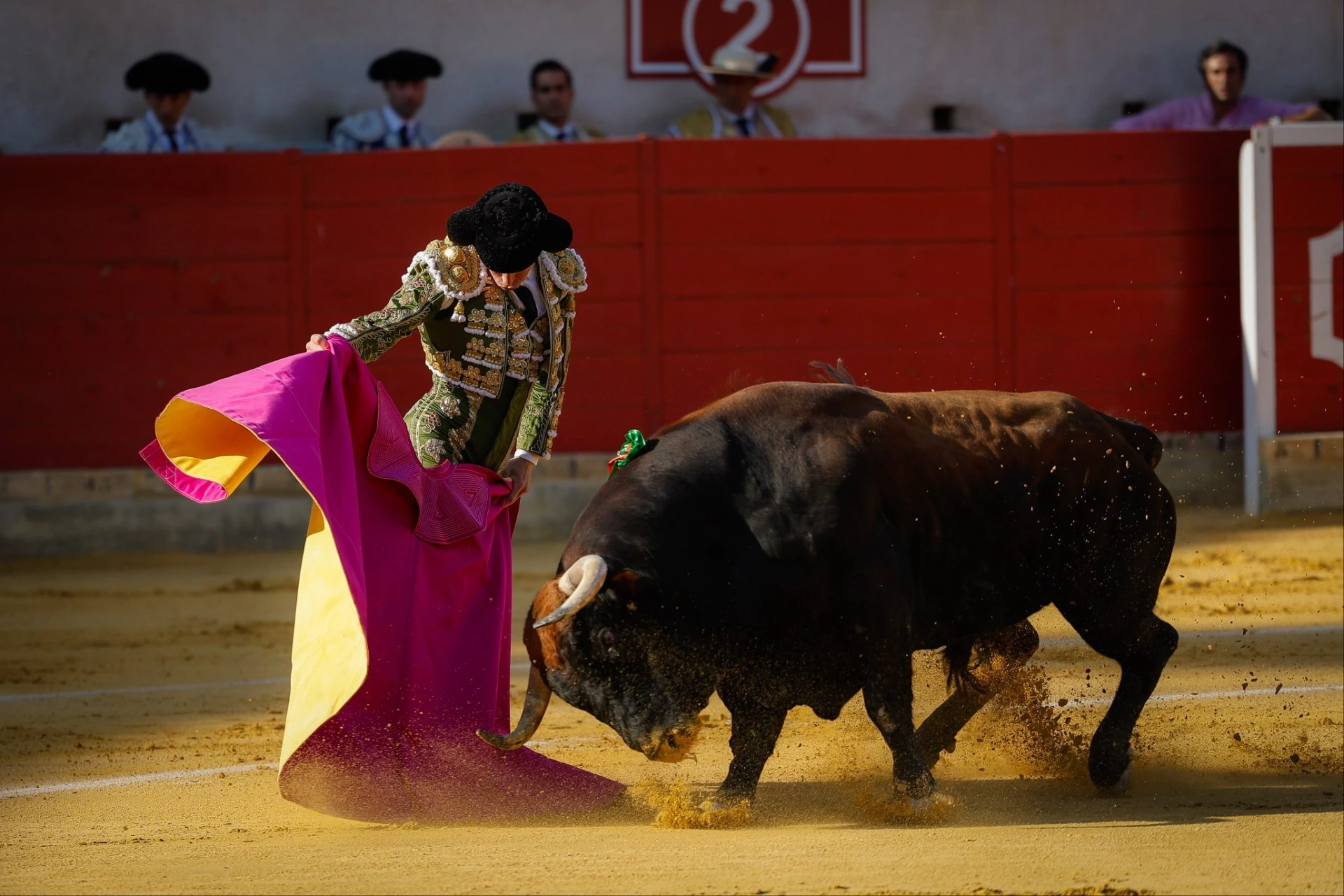 Imagen 4