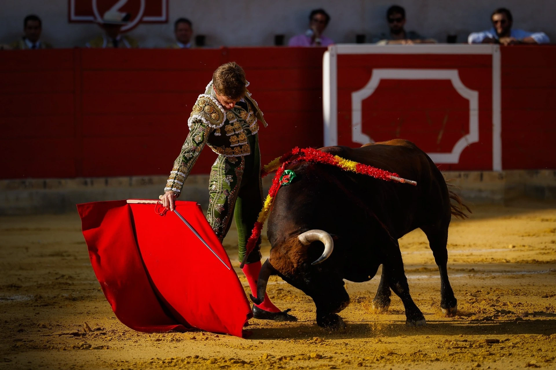 Imagen 6