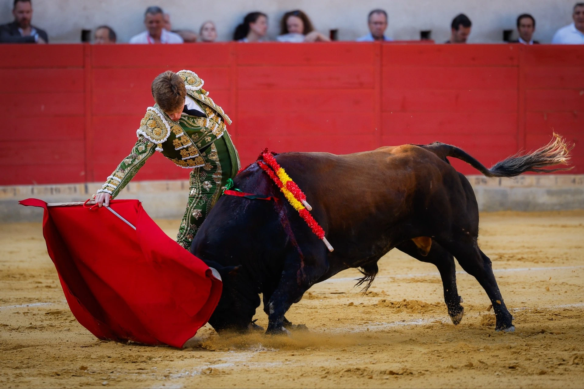 Imagen 7