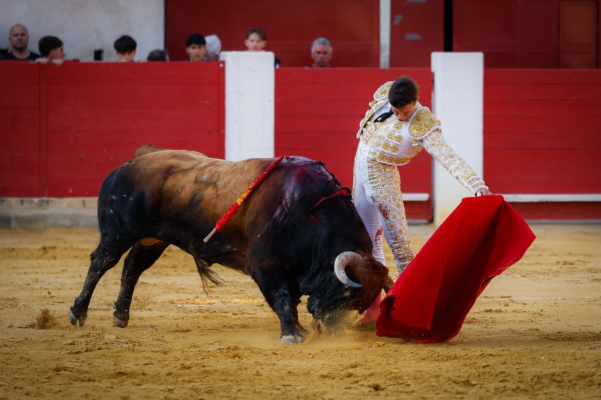 Imagen 9