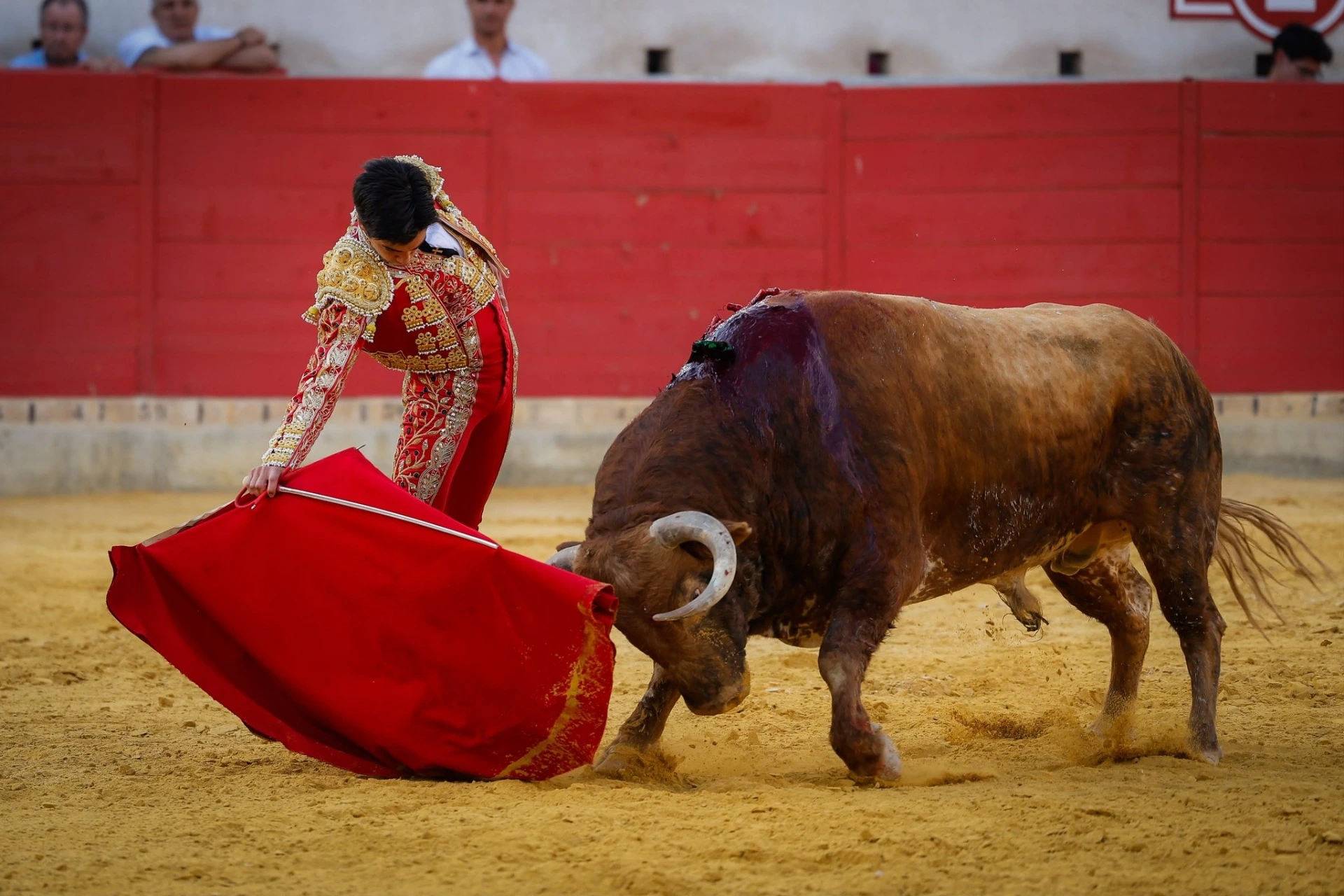 Imagen 11