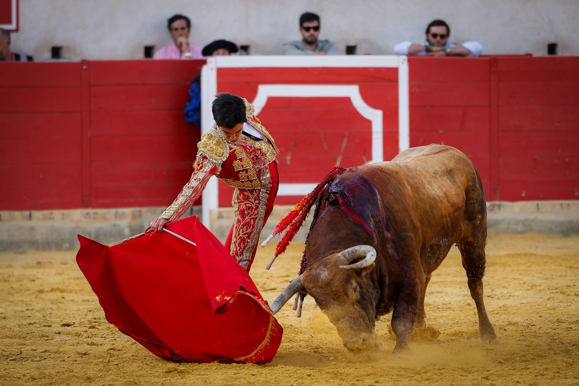 Imagen 12