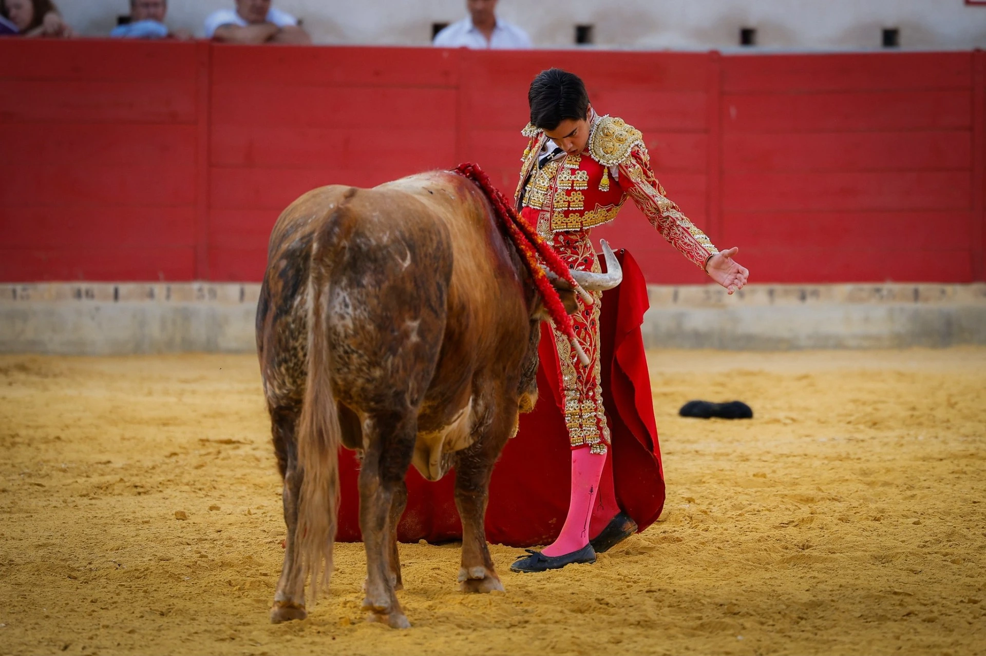 Imagen 13