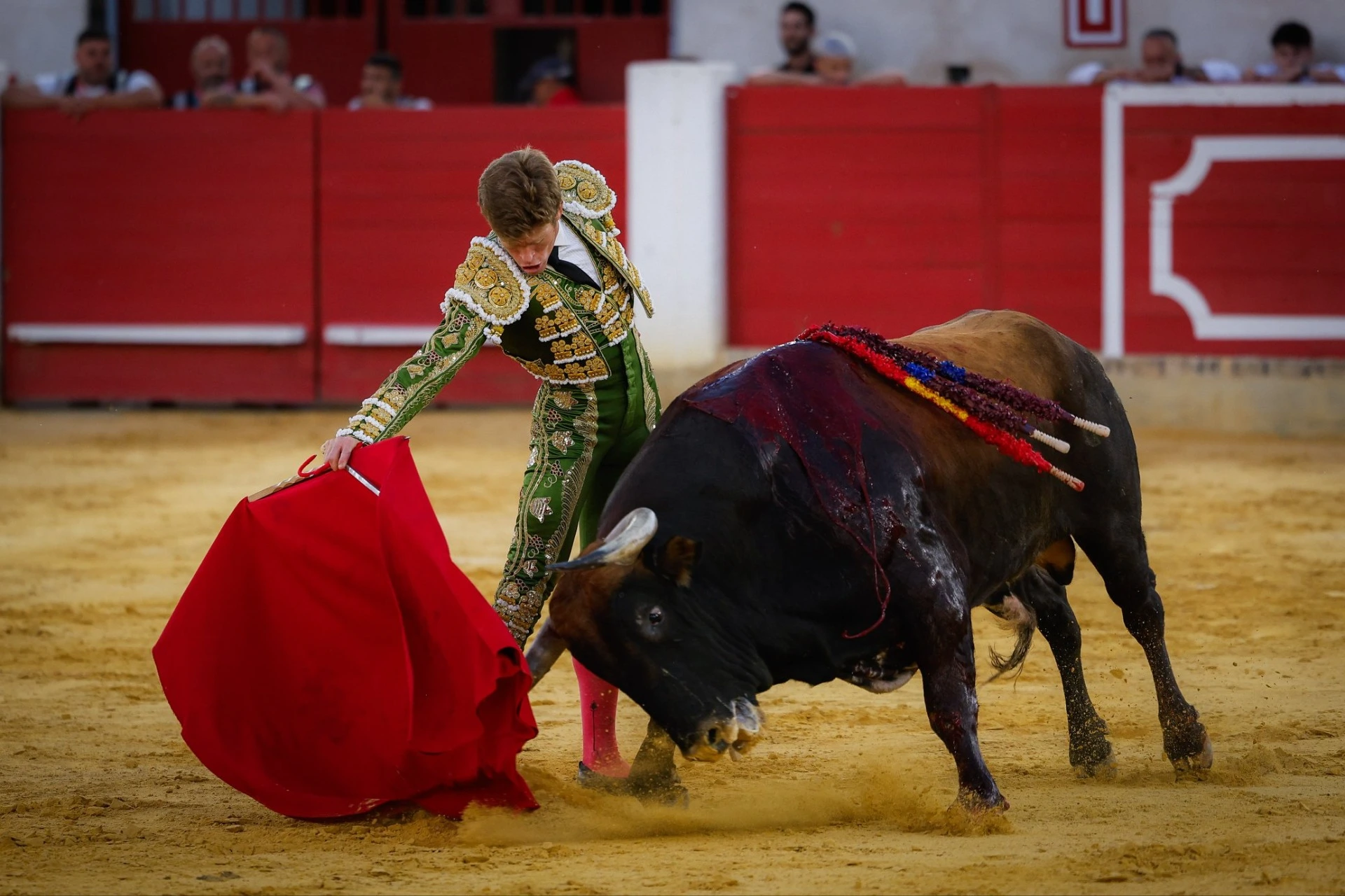 Imagen 15