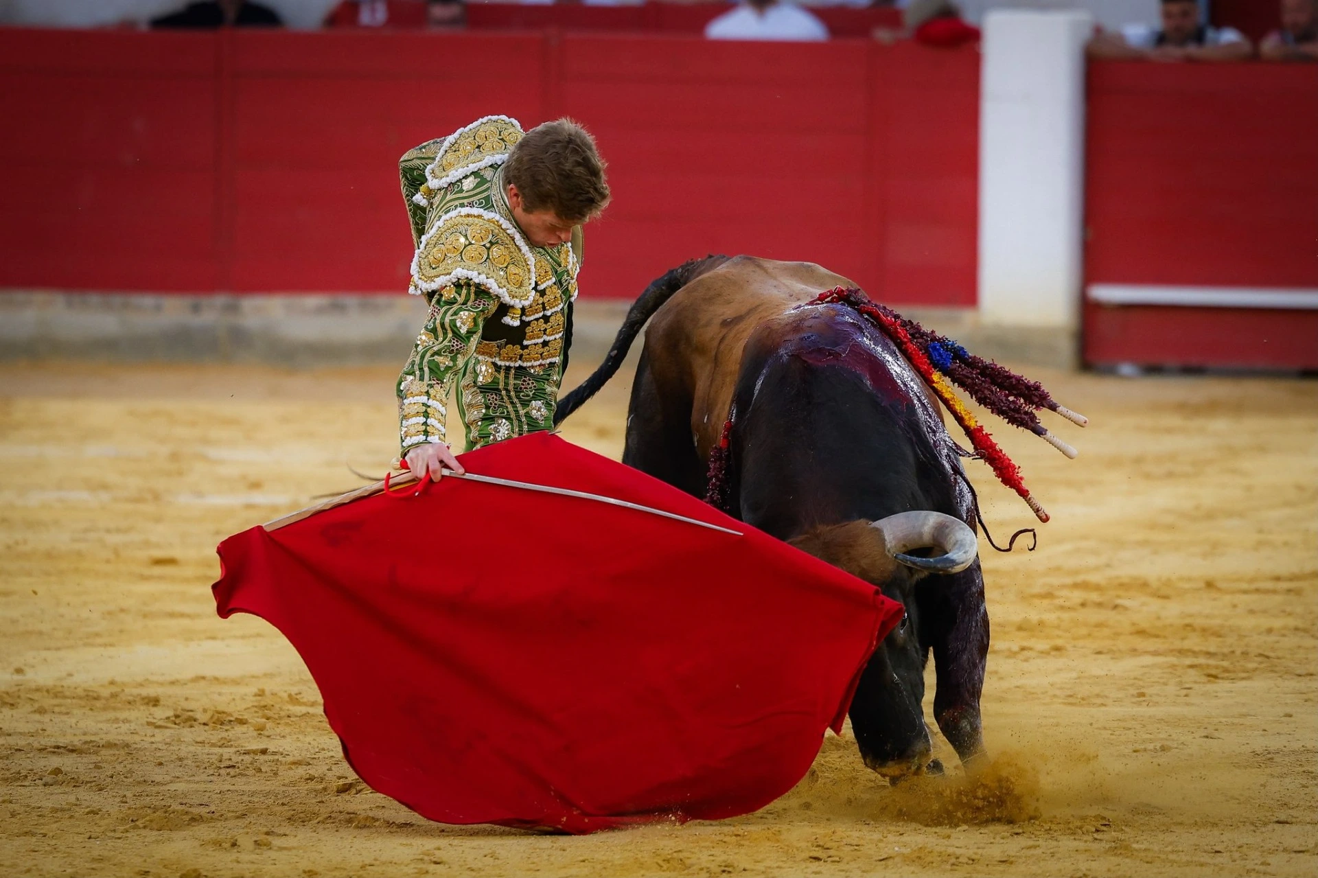 Imagen 16
