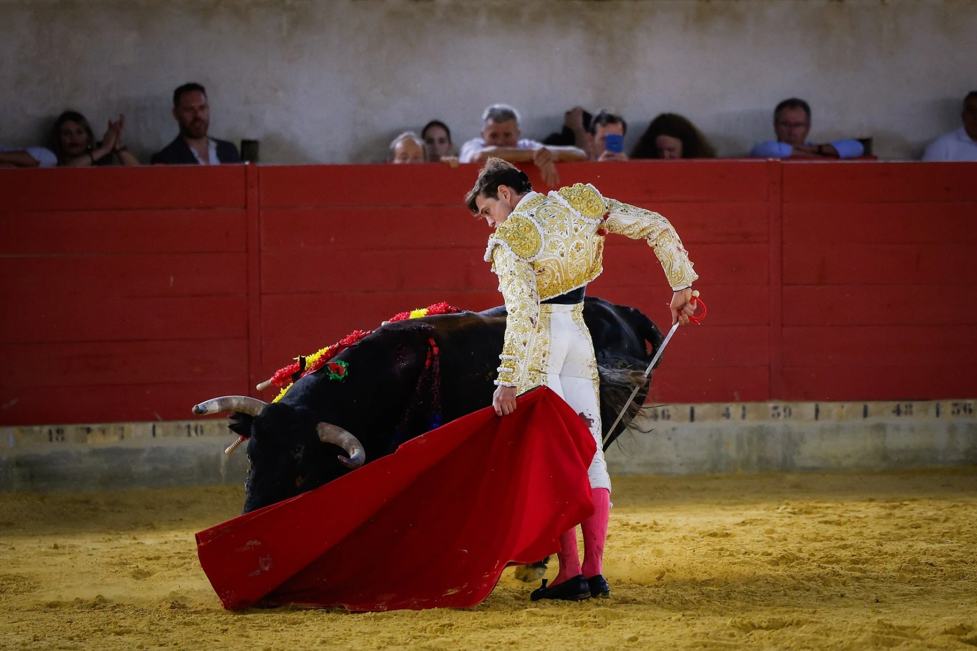 Imagen 17