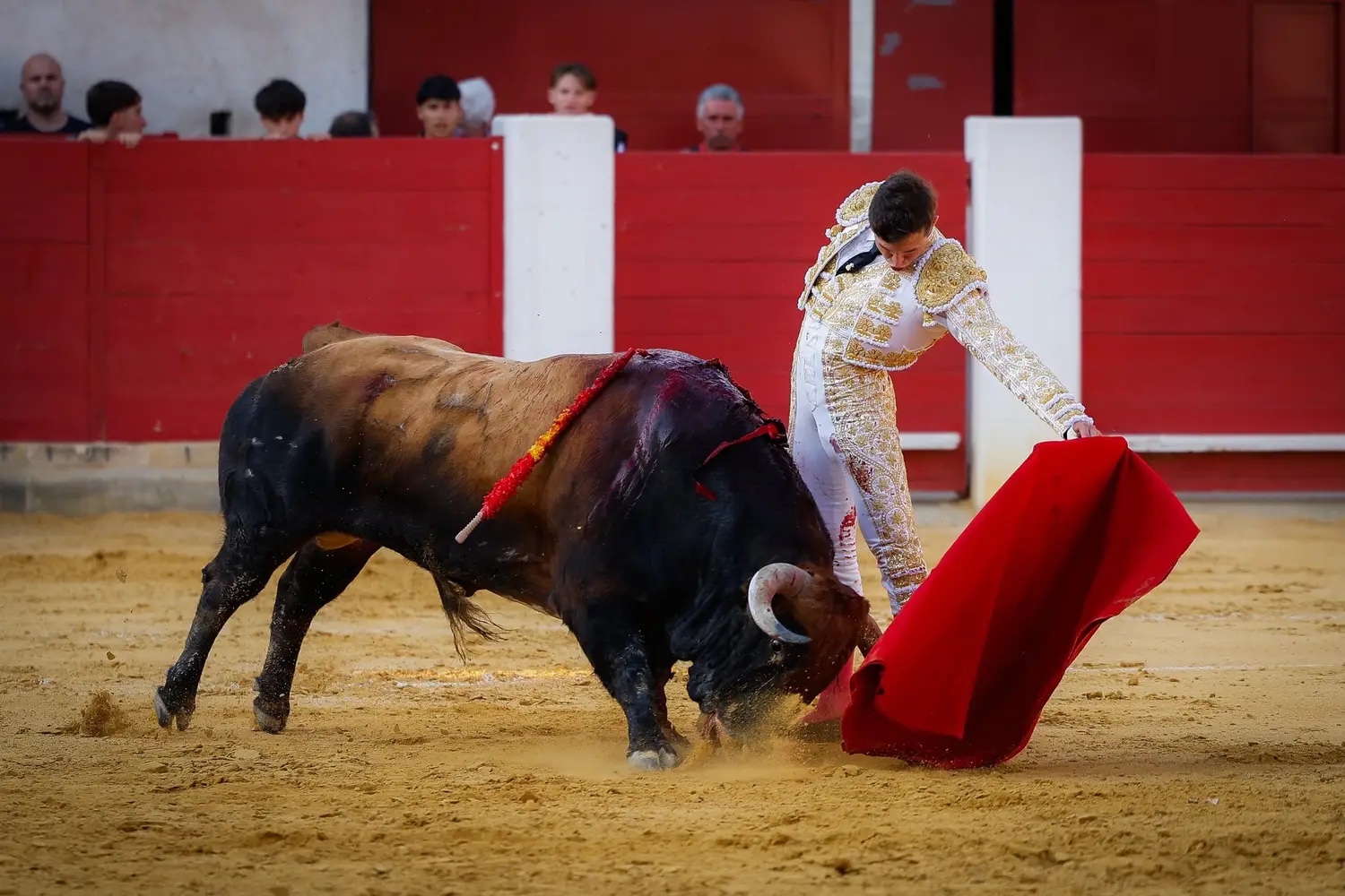 Imagen 2