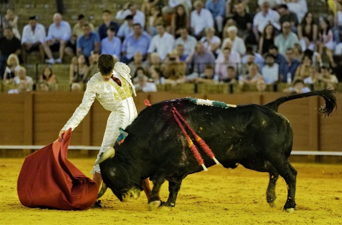 Imagen 1