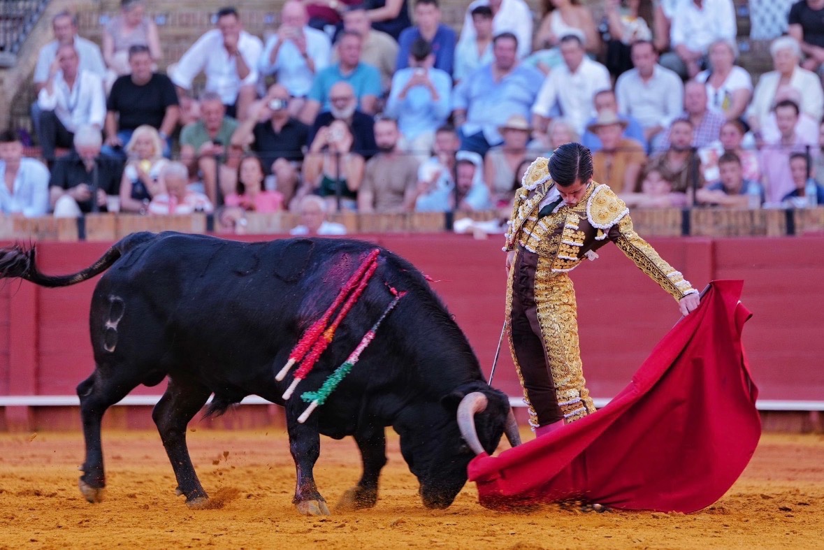 Imagen 3