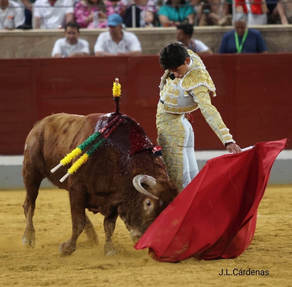 Imagen 4