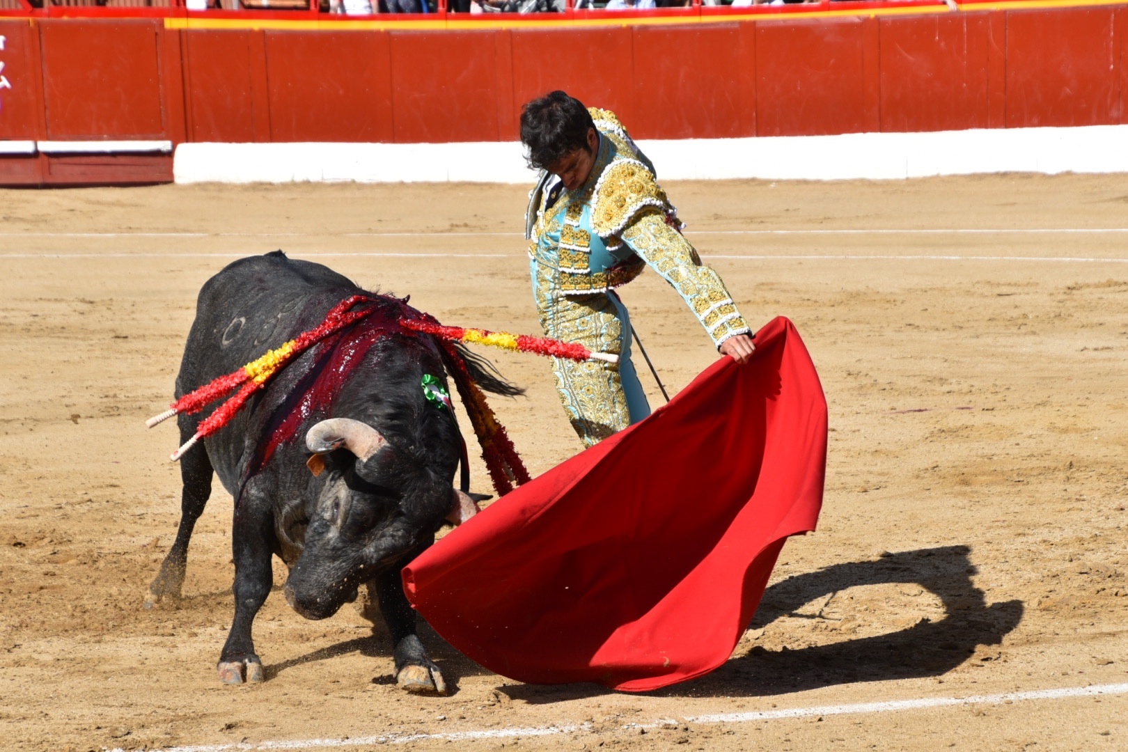 Imagen 1