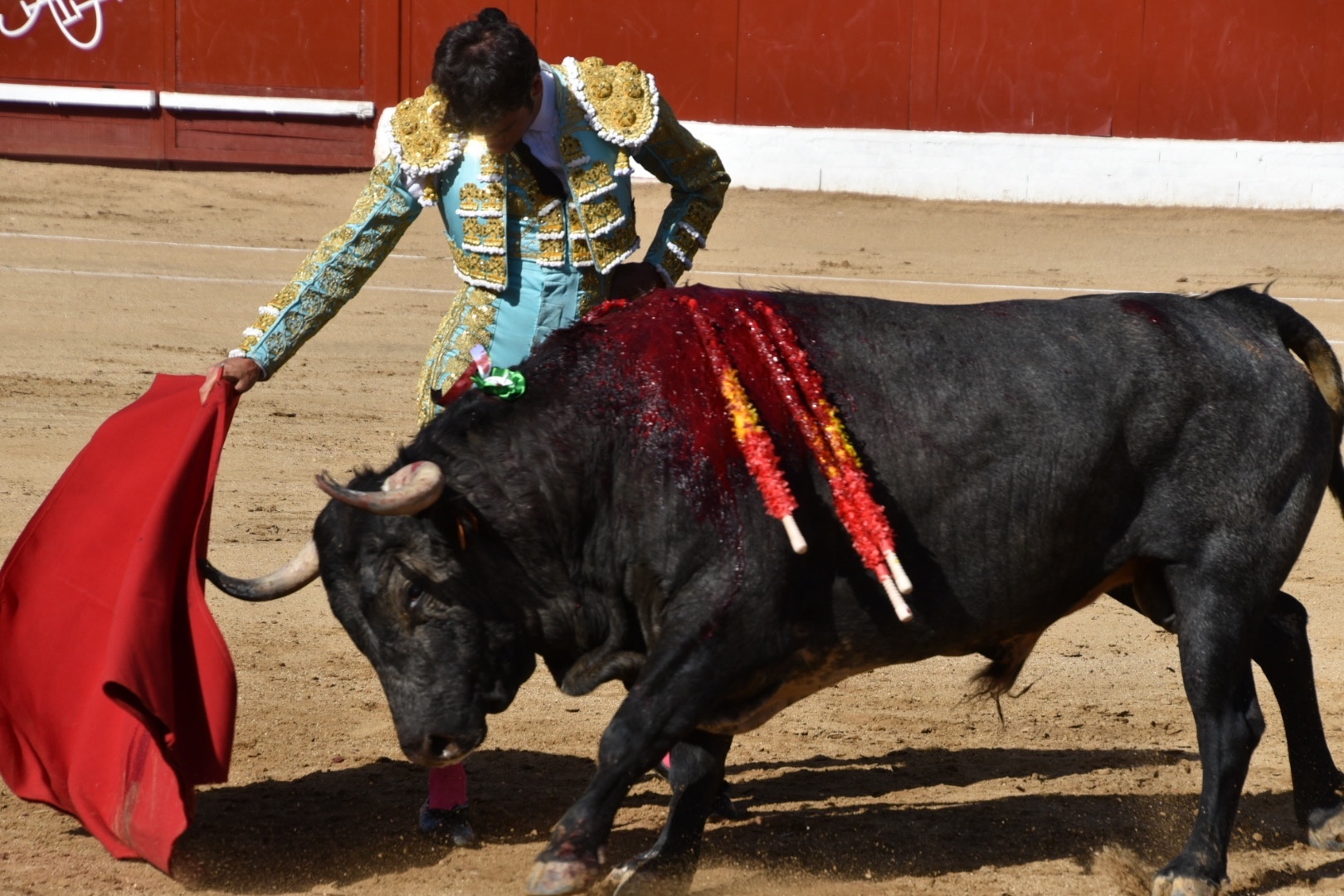 Imagen 2