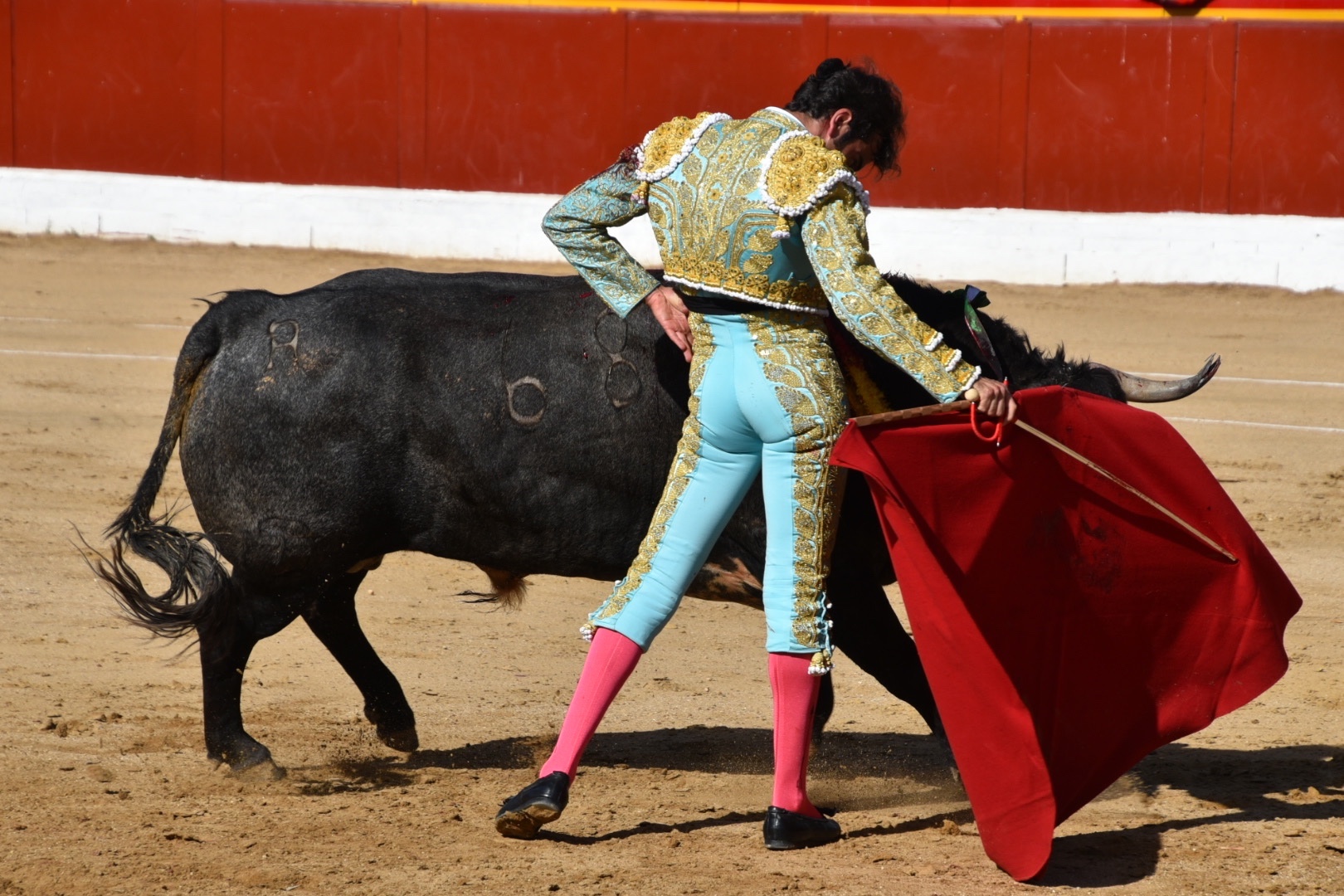 Imagen 3