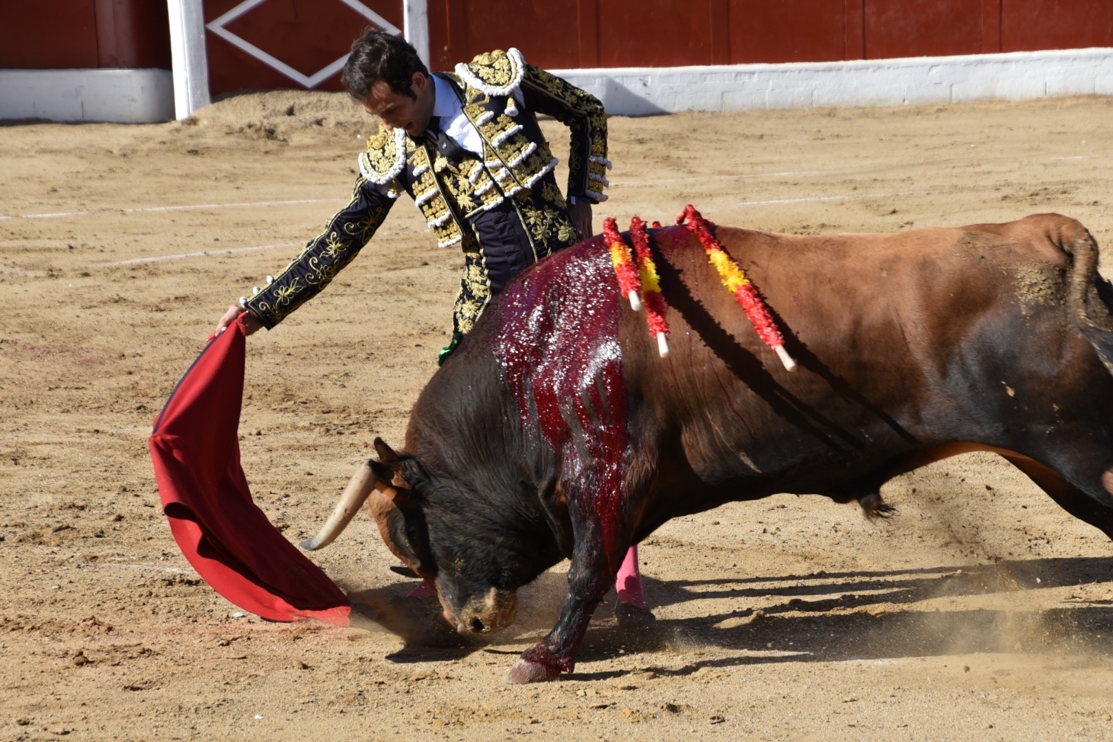 Imagen 4