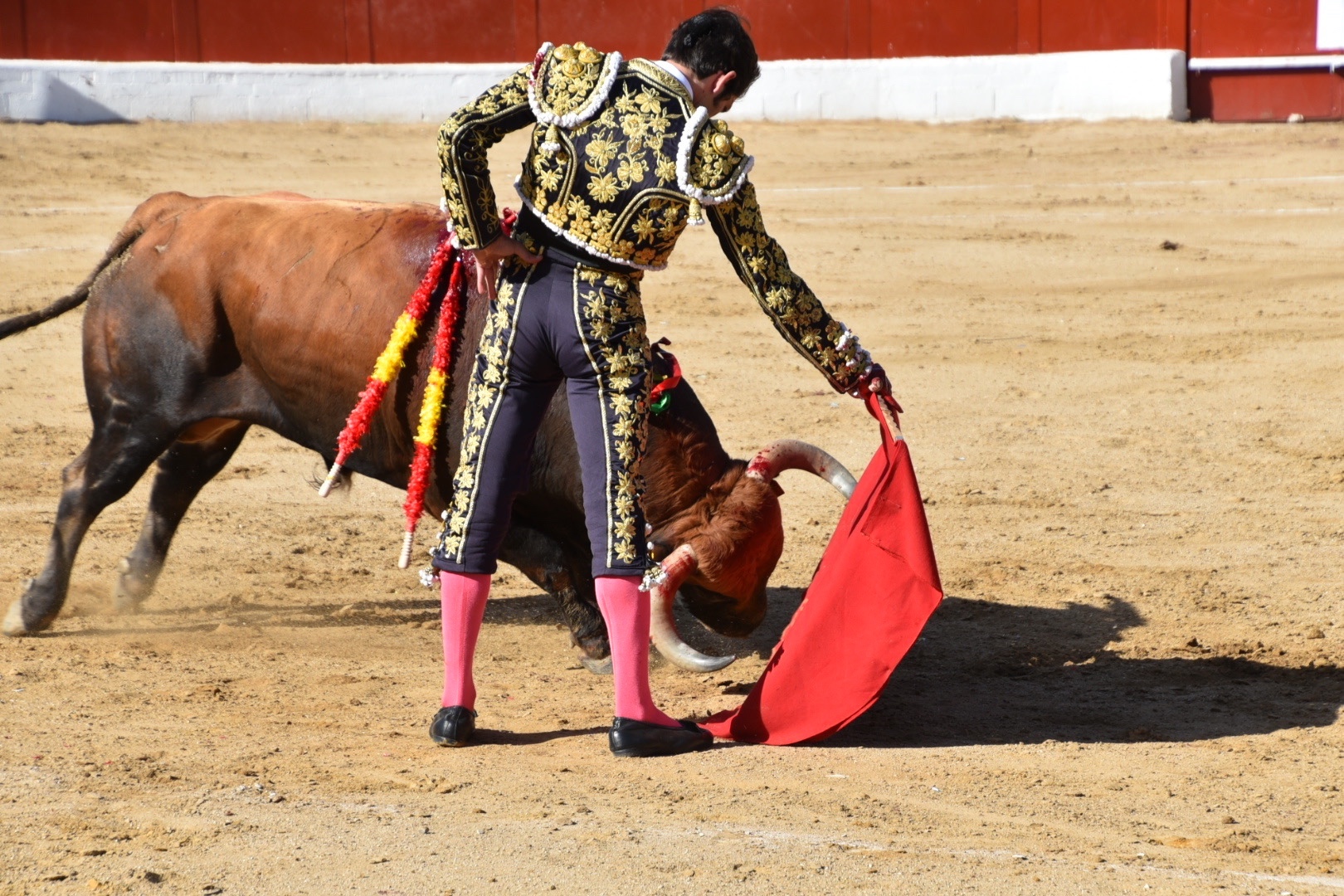 Imagen 5