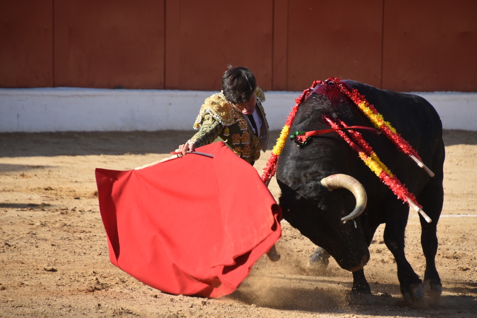 Imagen 7