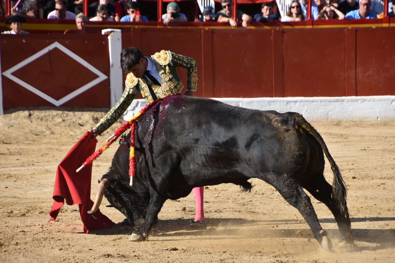 Imagen 8