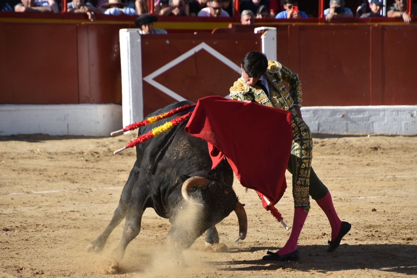 Imagen 9