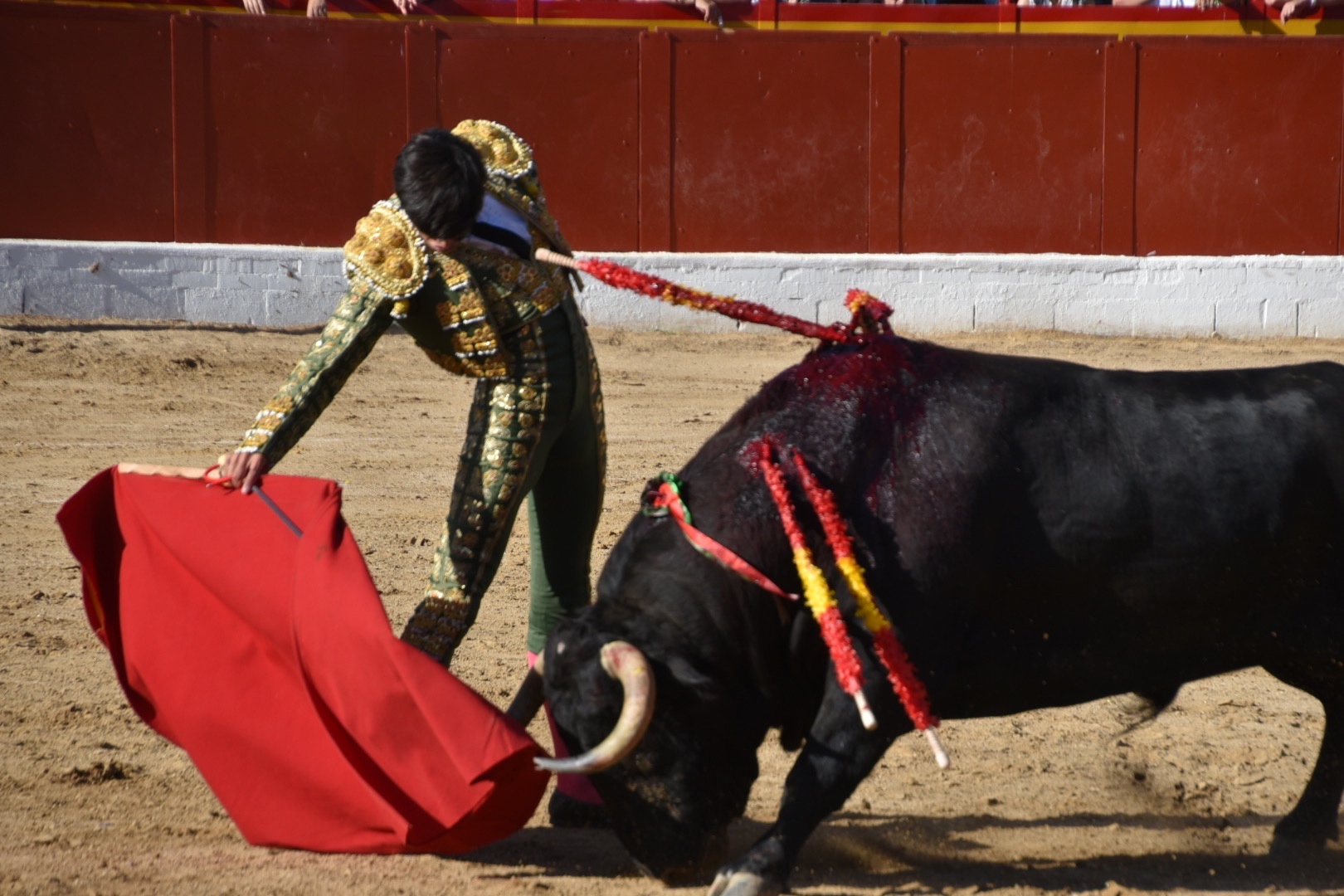 Imagen 10