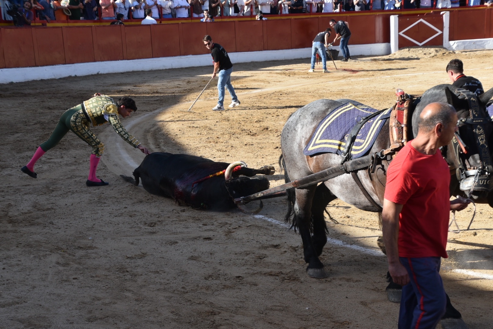 Imagen 11