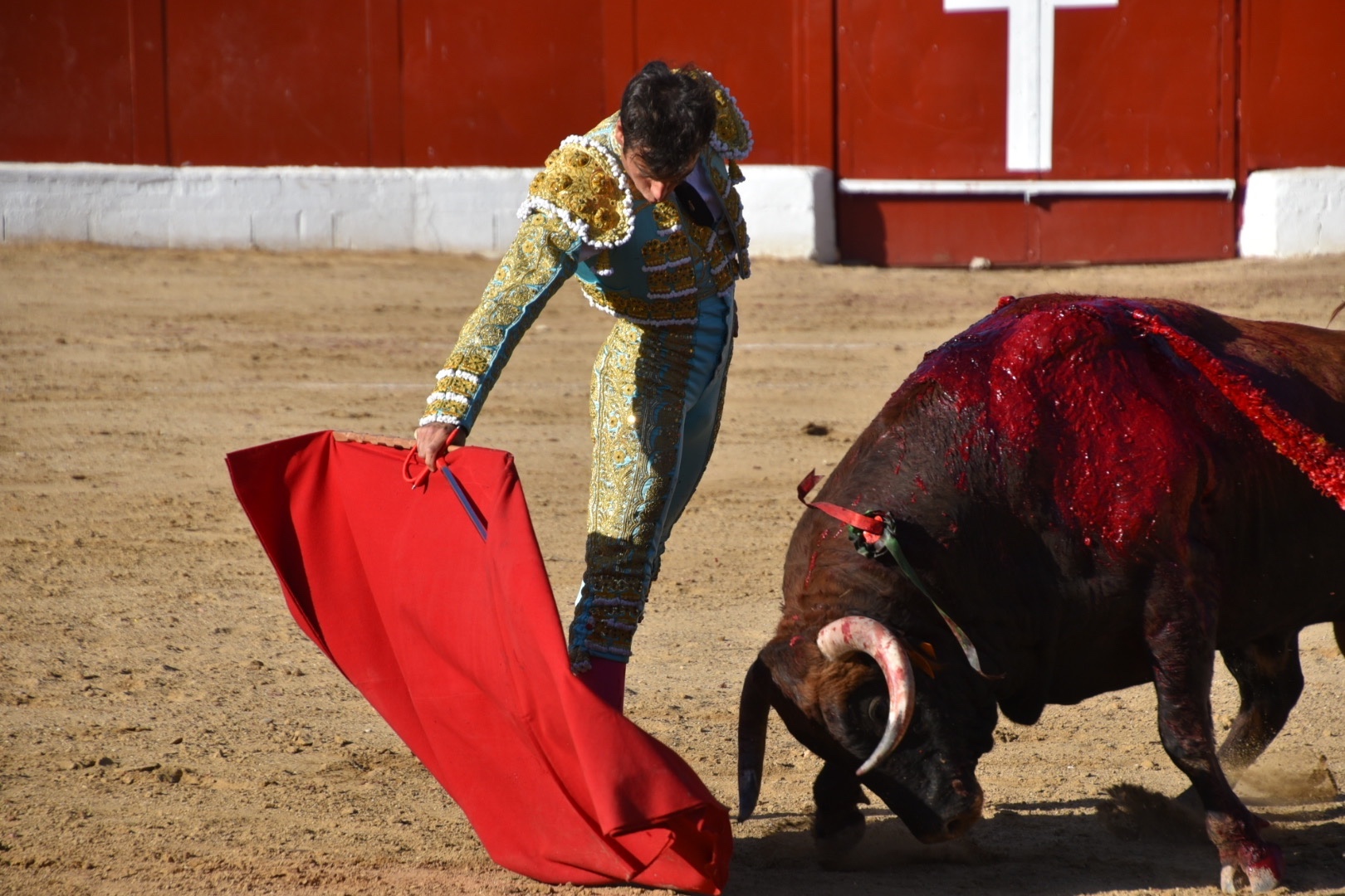 Imagen 14