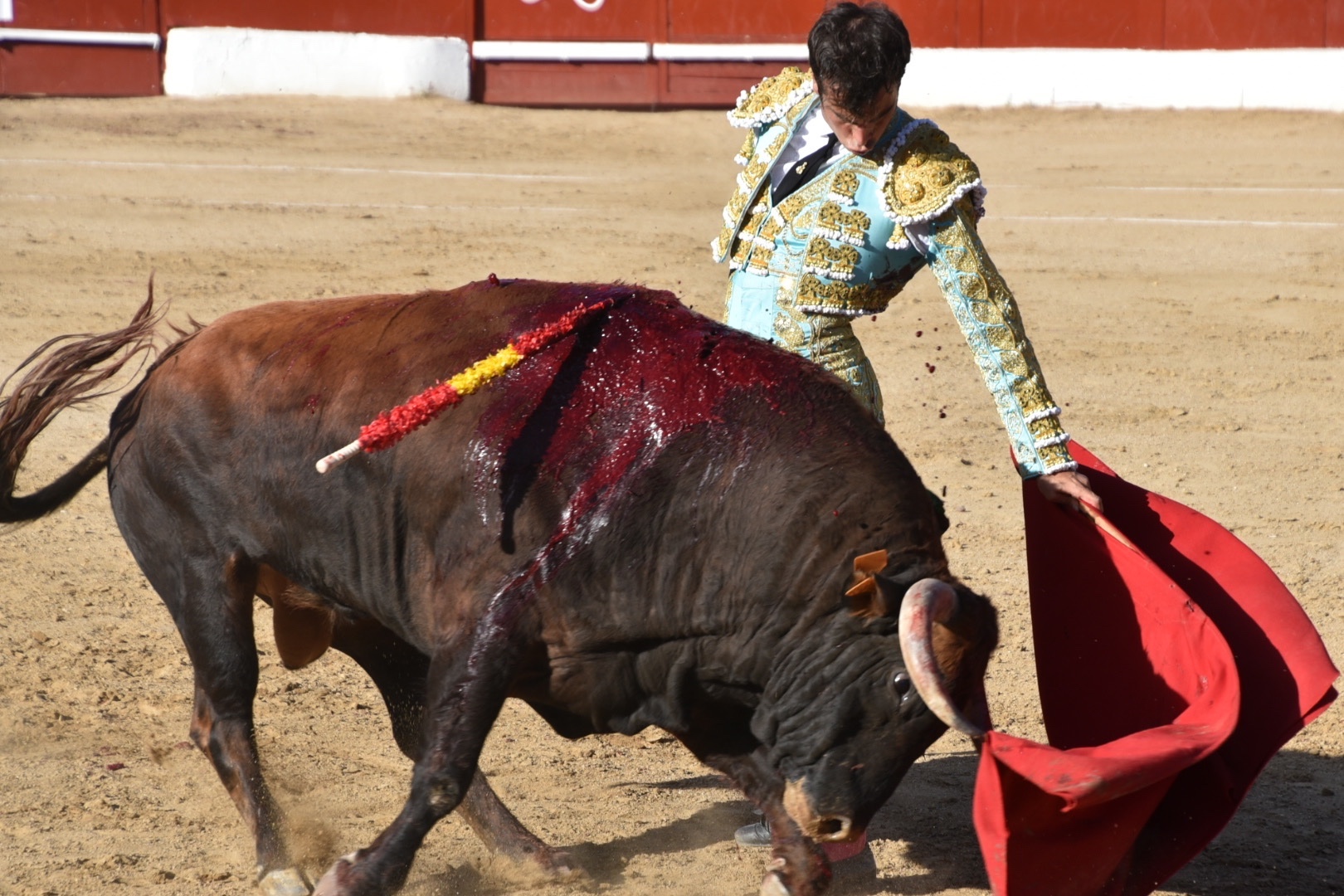 Imagen 15