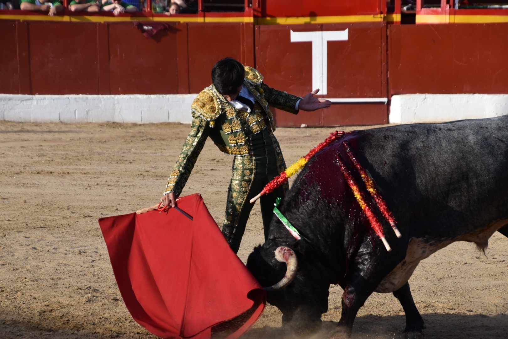 Imagen 16