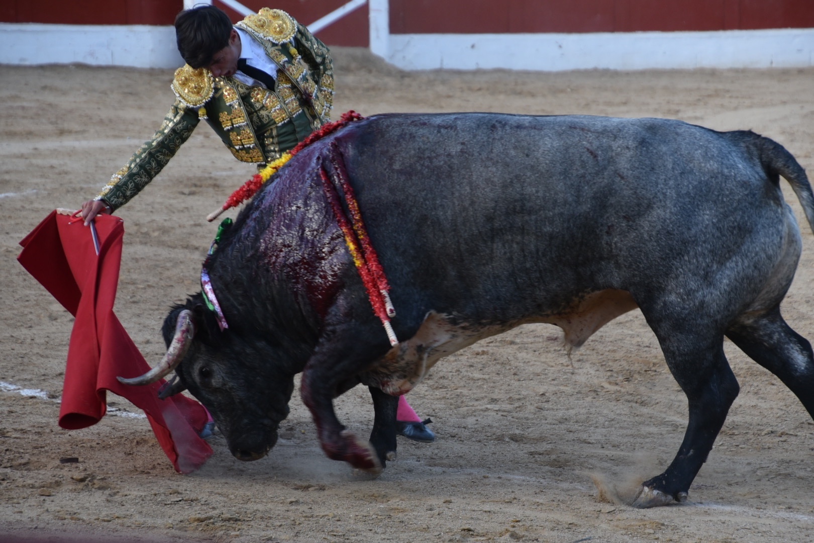 Imagen 17