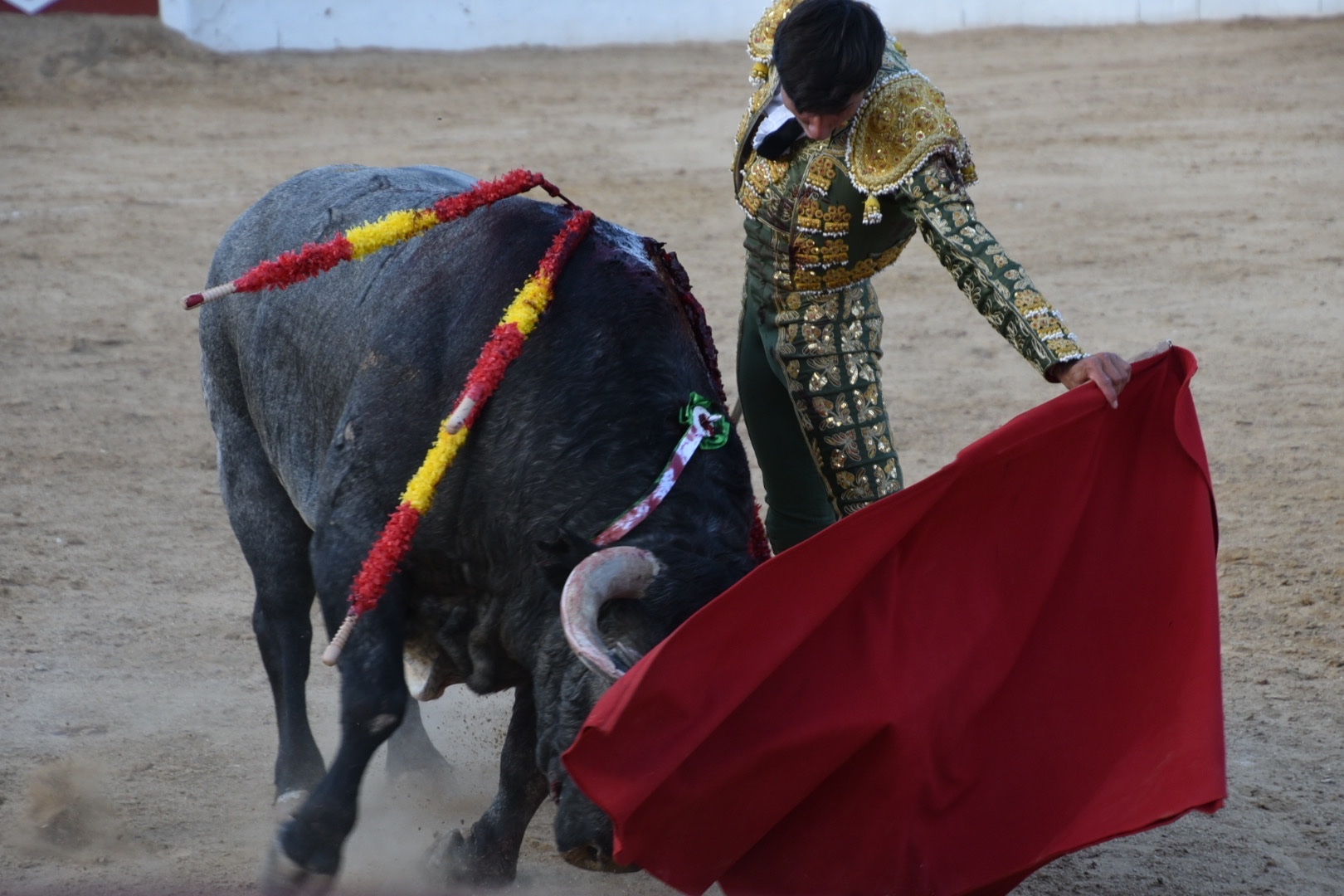 Imagen 18