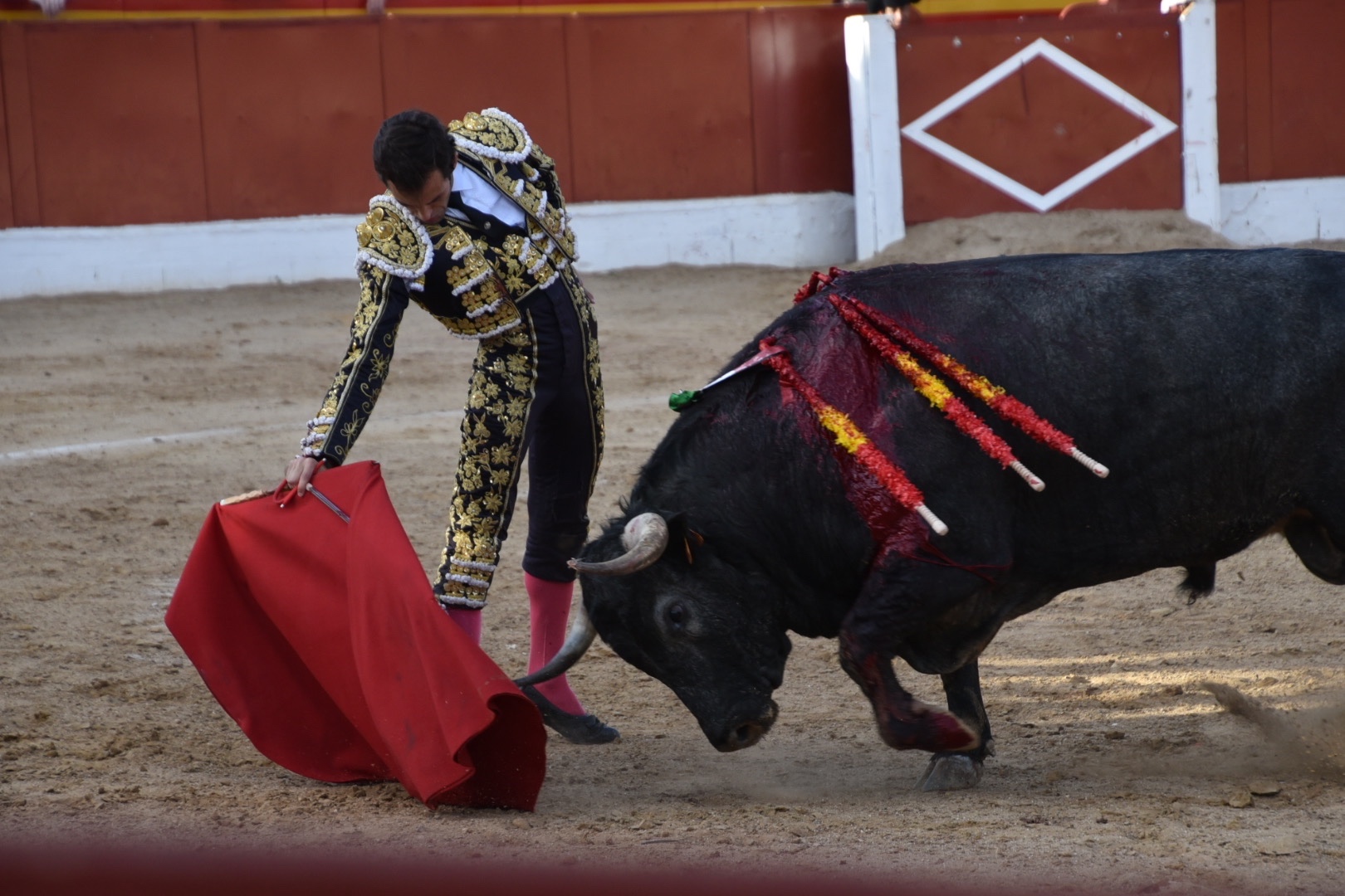Imagen 19